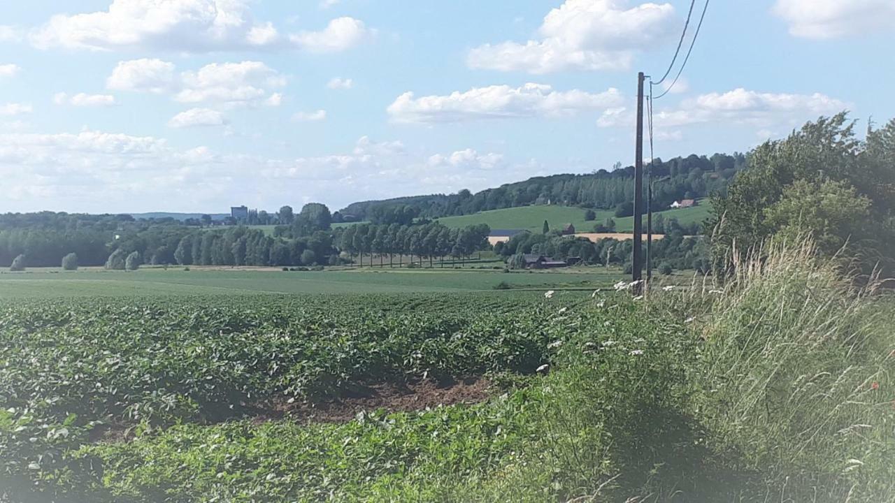 Alter Ego La Maison De Vacances, Au Pays Des Collines Willa Frasnes-lez-Anvaing Zewnętrze zdjęcie
